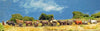 NEW - Ox cart caravan (18mm)