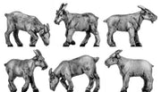 Goats (28mm)