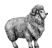 Merino ram (28mm)