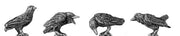 Crows (28mm)