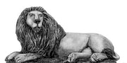 Lion (28mm)