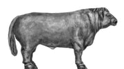 Belted Galloway bull (28mm)