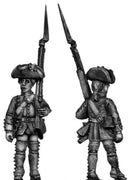 Provincial Regular Infantry (28mm)