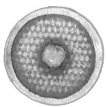 Light auxiliary shields (28mm)