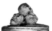 Pile of four skulls marker (28mm)