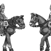 Spanish Guard Cavalry, Horse Grenadier (18mm)