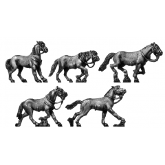 Cossack pony (18mm)