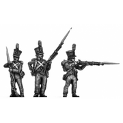 Dutch Line Infantry, centre company, firing and loading (18mm)