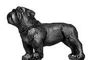 Small British Bulldog (28mm)