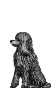 Poodle Dishevelled  (28mm)